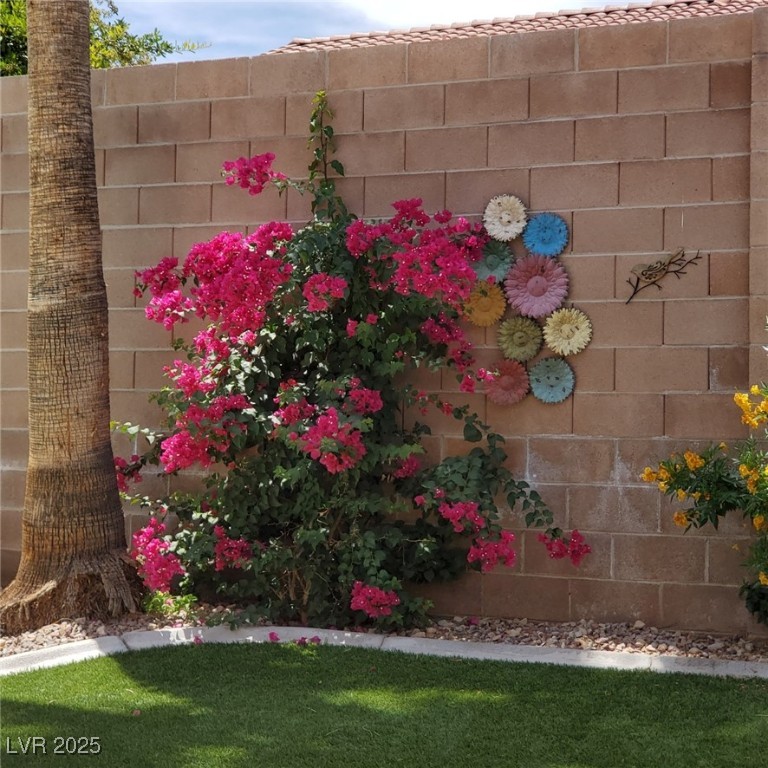10649 Bella Ordaz Way Property Photo 33