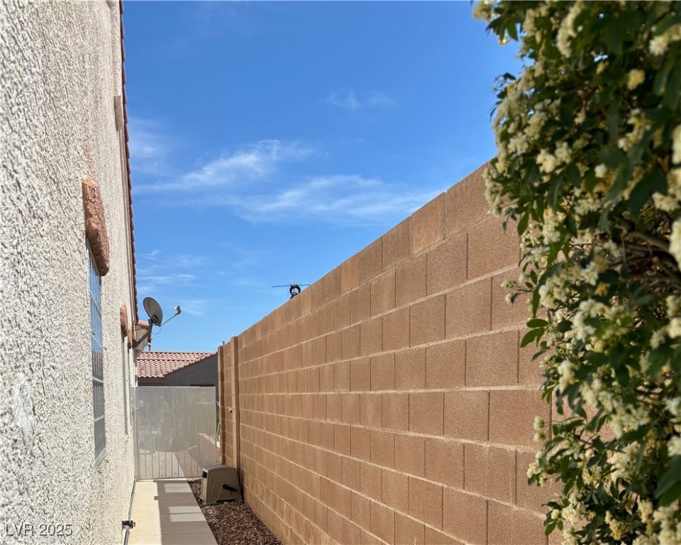10649 Bella Ordaz Way Property Photo 43