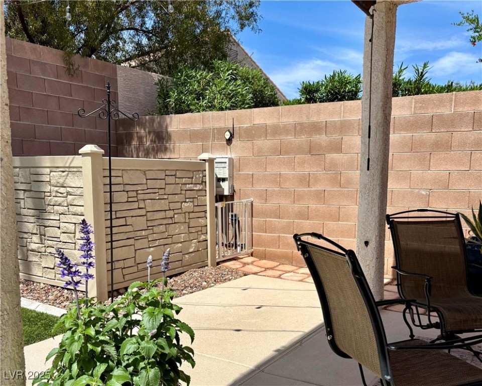 10649 Bella Ordaz Way Property Photo 44