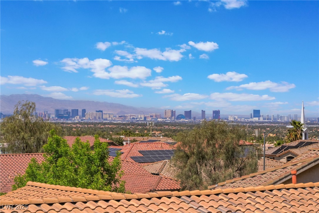 395 Suzanne Peak Court Property Photo 46