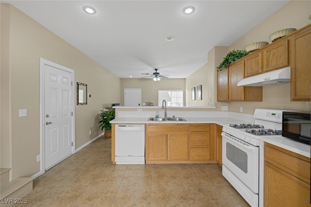 11135 Abbeyfield Rose Drive Property Photo 8