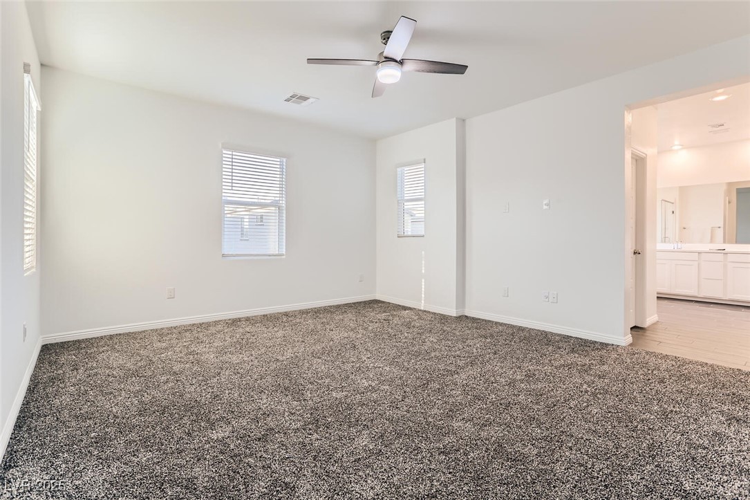4208 Bayley Skye Property Photo 15