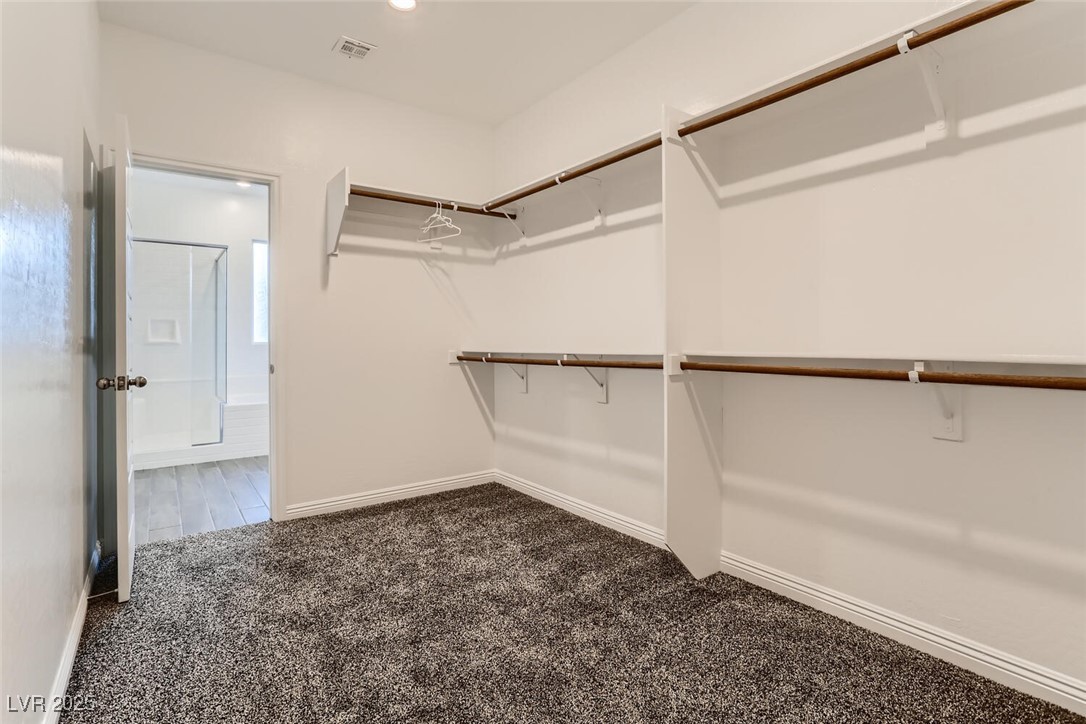 4208 Bayley Skye Property Photo 20