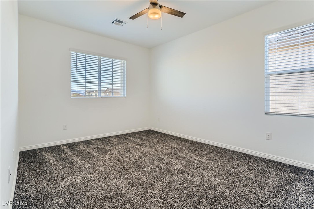 4208 Bayley Skye Property Photo 21
