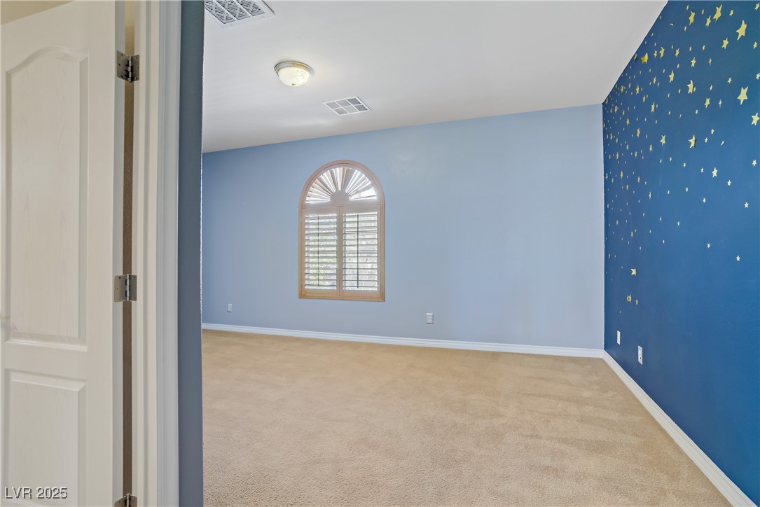 8005 Egypt Meadows Avenue Property Photo 45