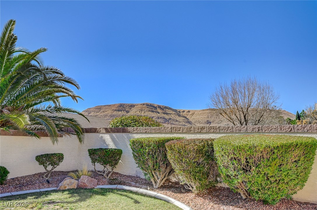 9843 Wonderful Day Drive Property Photo 25