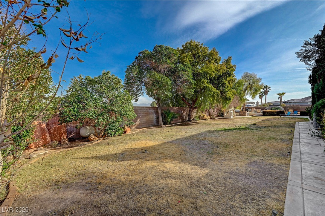 8870 South Tenaya Way Property Photo 65