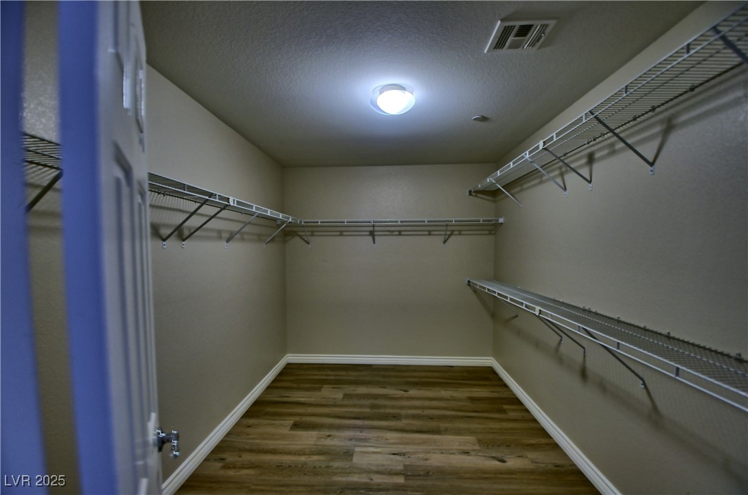 3136 Nevelson Walk Property Photo 13