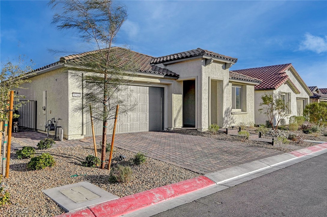 6544 Sandero Springs Street Property Photo 3