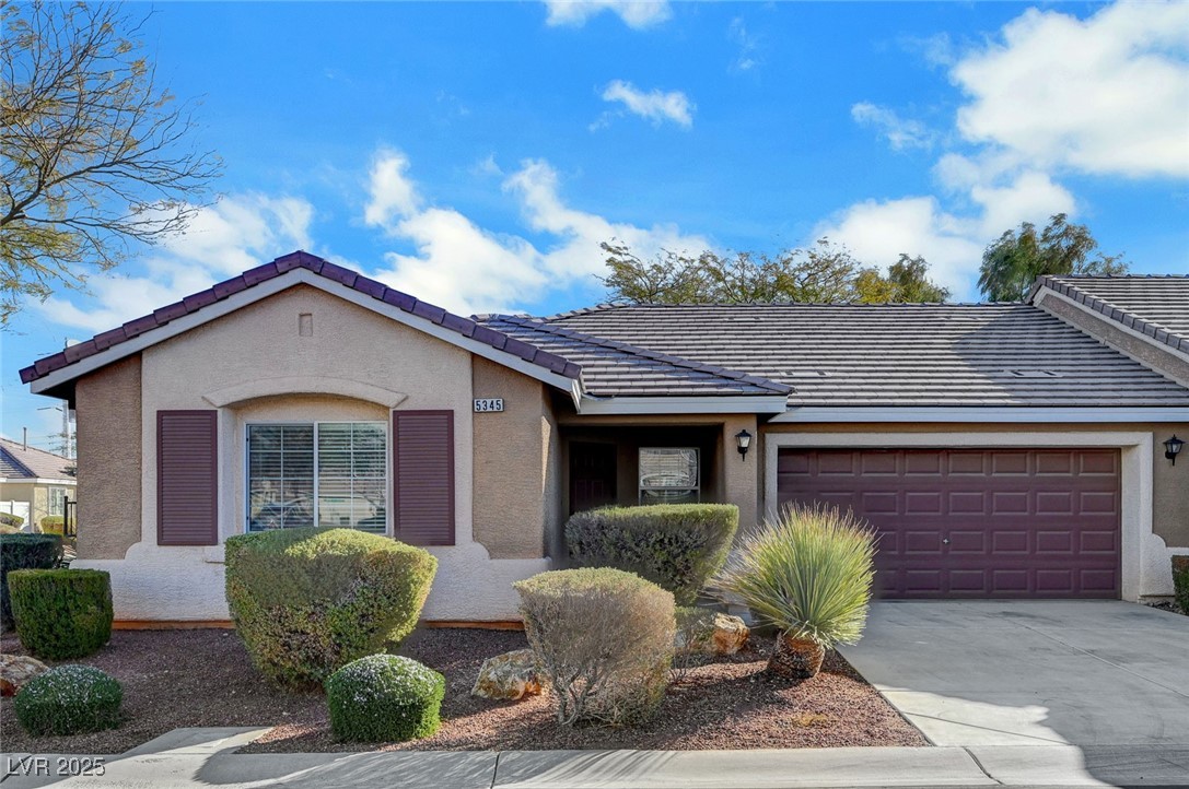 5345 Cholla Cactus Avenue Property Photo 1