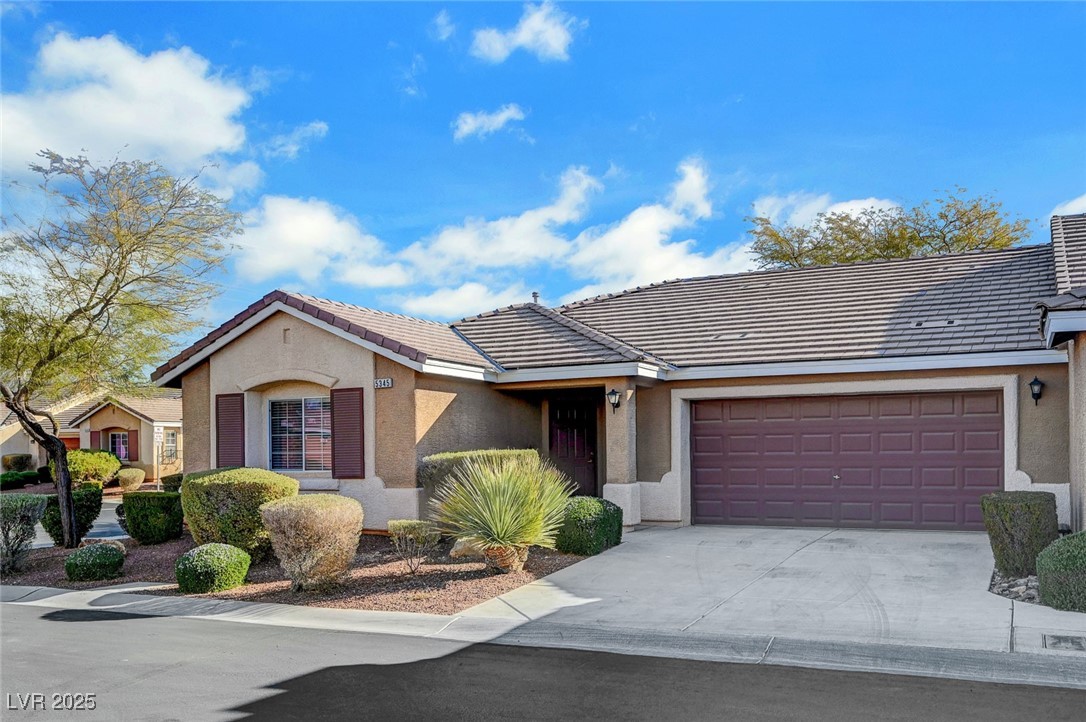 5345 Cholla Cactus Avenue Property Photo 2