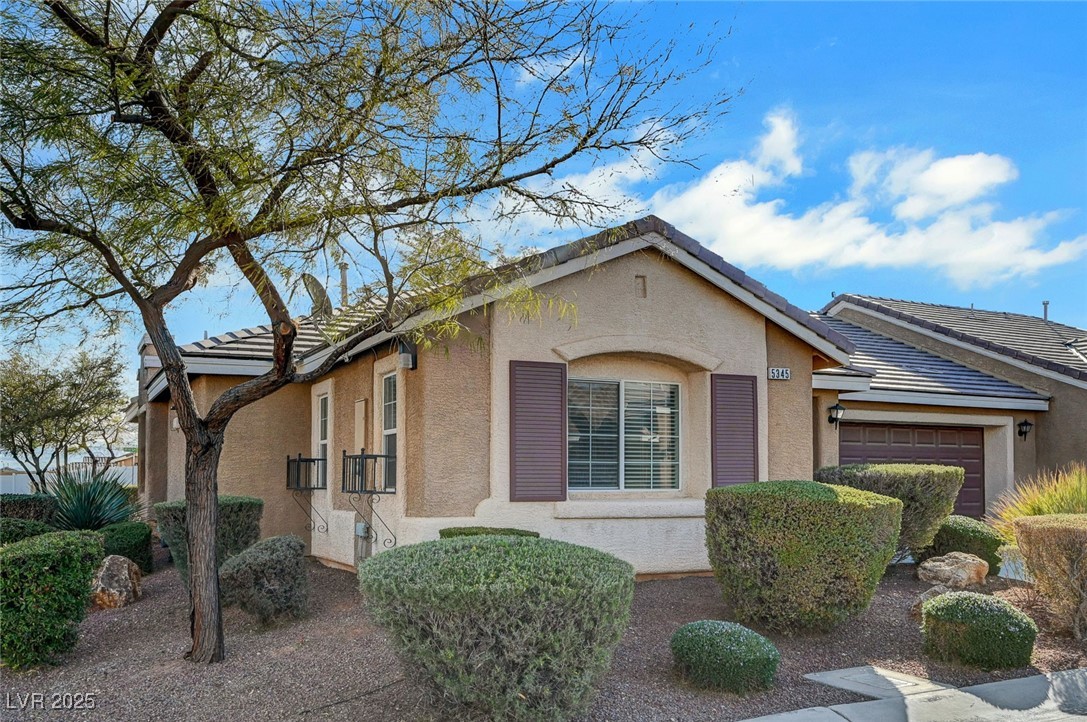 5345 Cholla Cactus Avenue Property Photo 3
