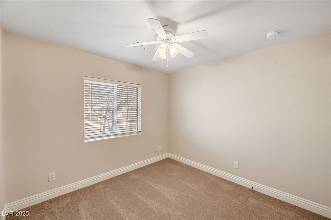 5345 Cholla Cactus Avenue Property Photo 18