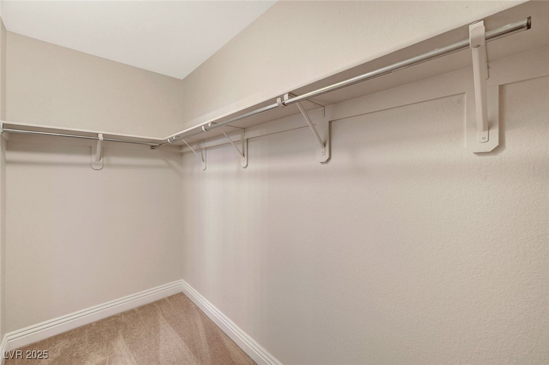 5345 Cholla Cactus Avenue Property Photo 29