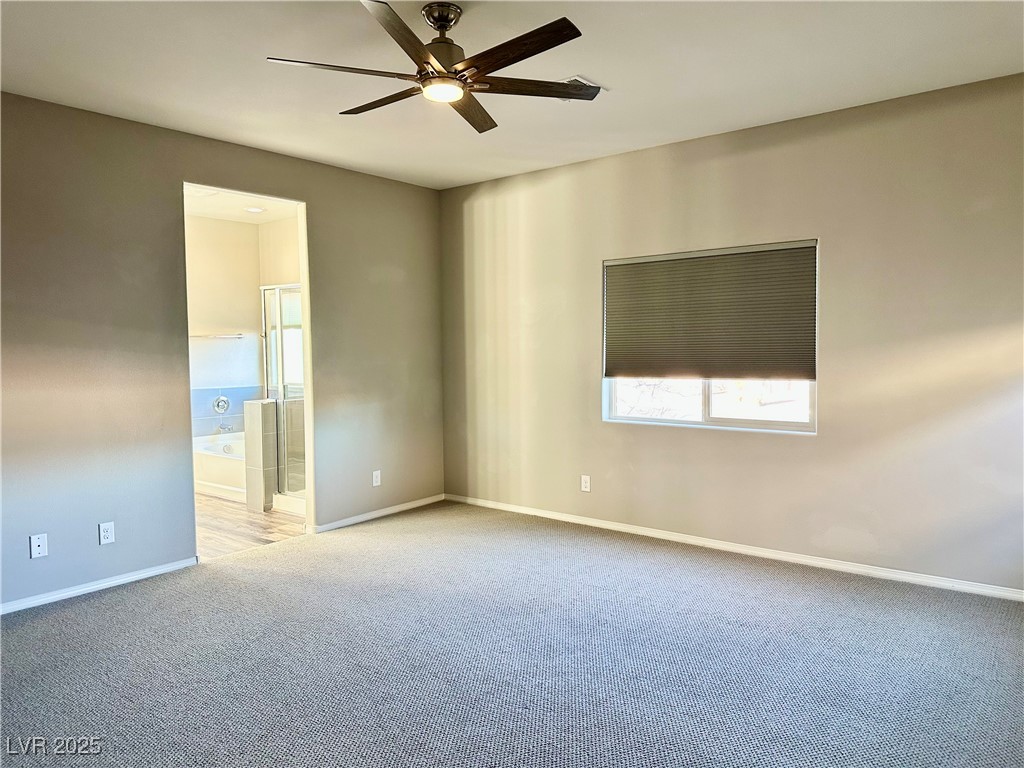 5249 Fiery Sky Ridge Street Property Photo 16