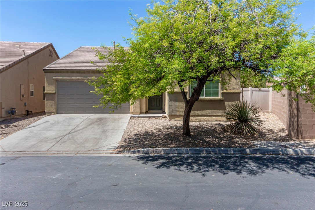 3357 Sheep Canyon Street Property Photo 3
