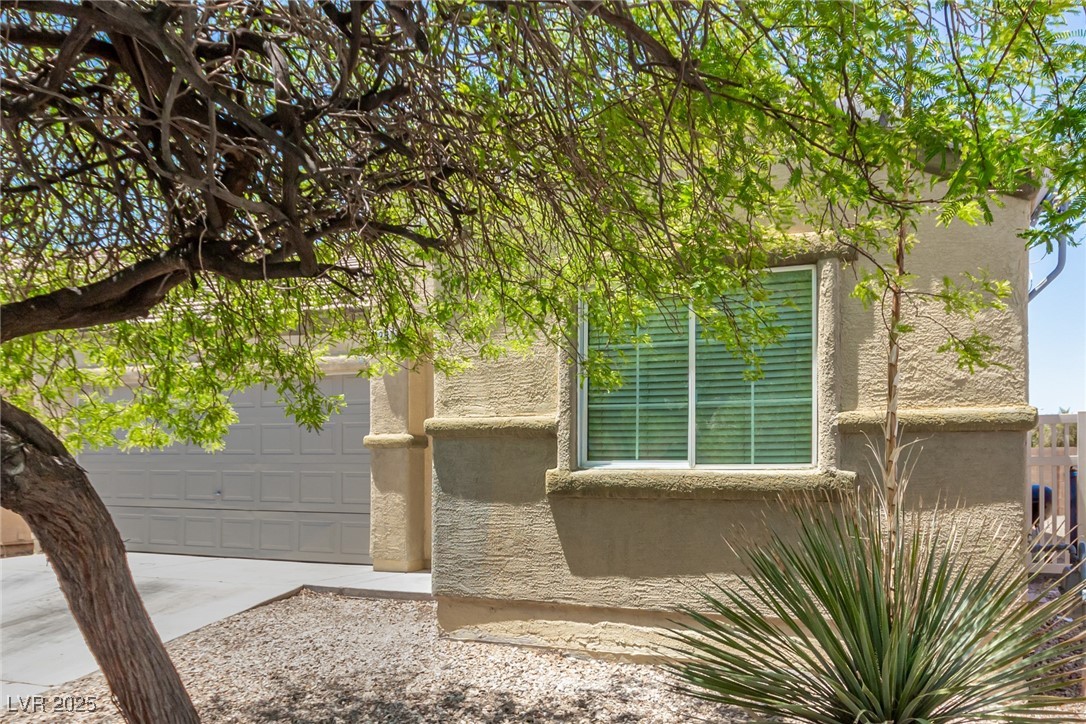 3357 Sheep Canyon Street Property Photo 4
