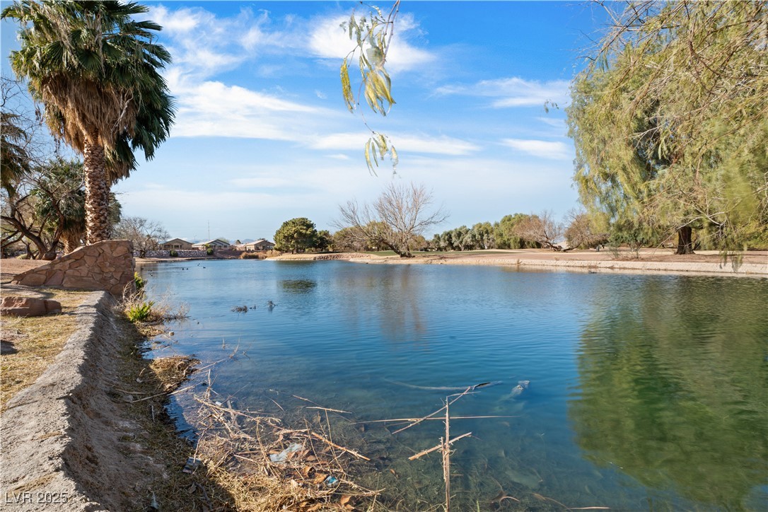 6151 Moonlight Sonata Avenue Property Photo 66