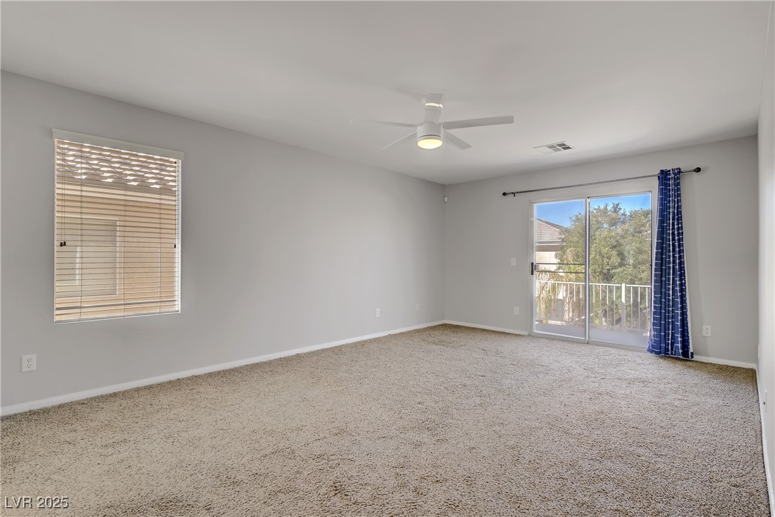 11009 Pentland Downs Street Property Photo 15