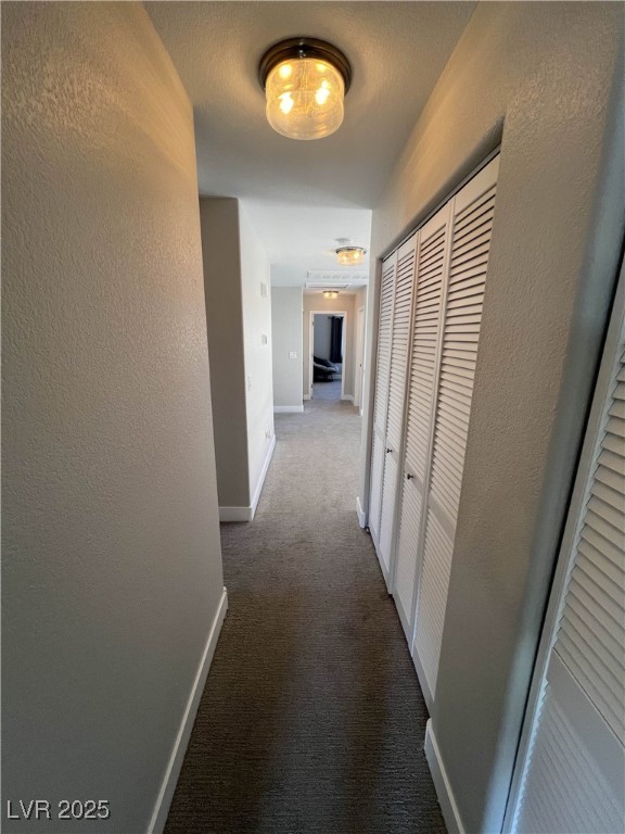 9328 Jumpin Juniper Avenue Property Photo 27