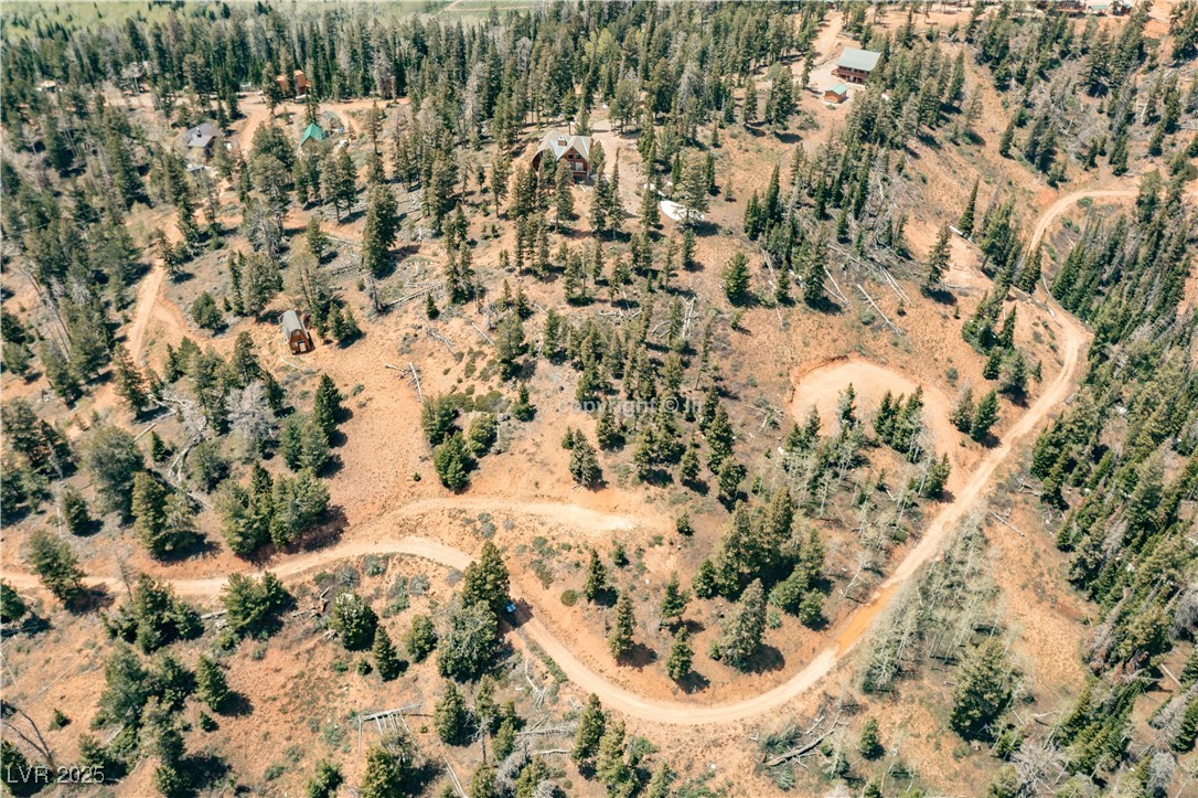 950 Yankee Lookout Property Photo 6