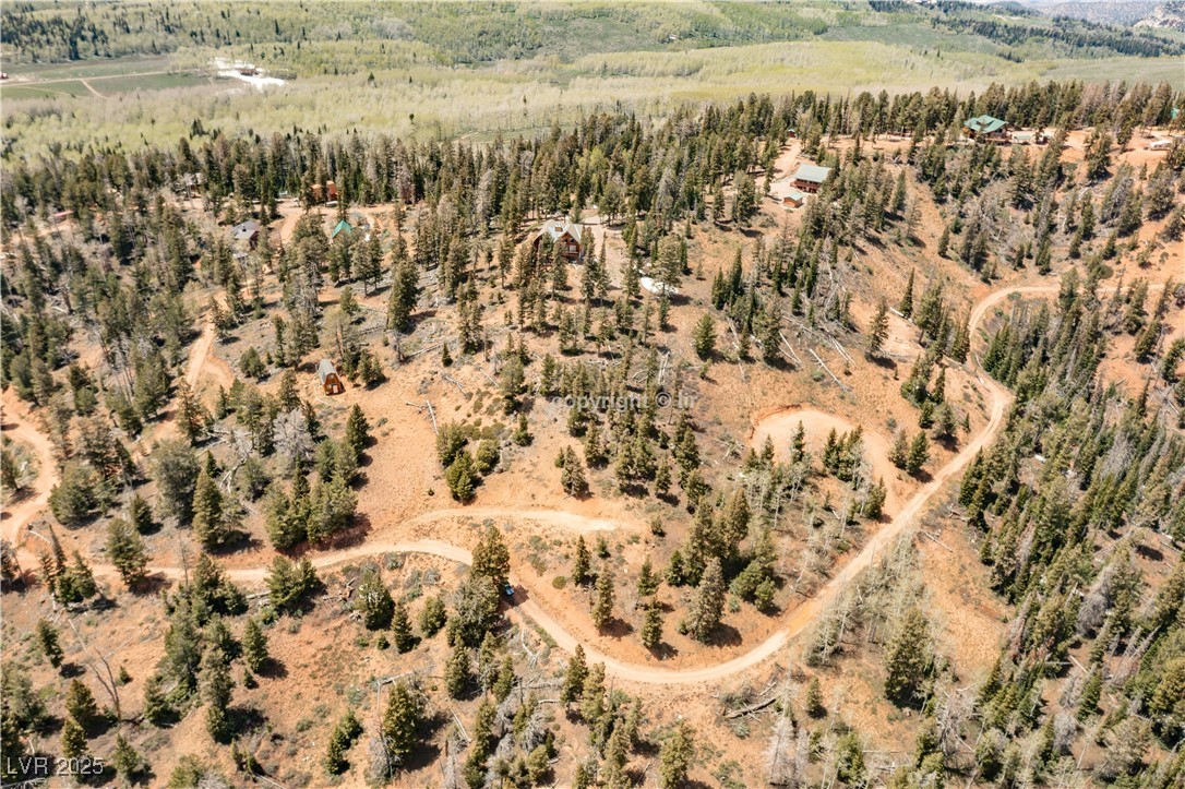 950 Yankee Lookout Property Photo 7