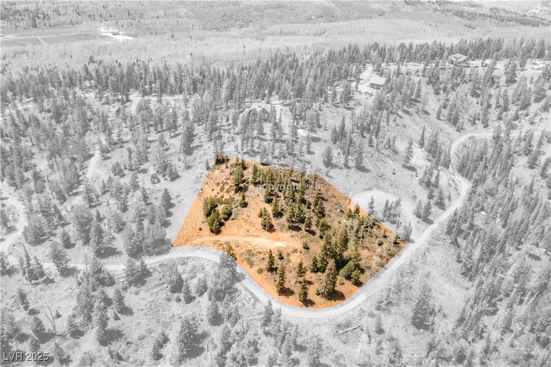 950 Yankee Lookout Property Photo 8
