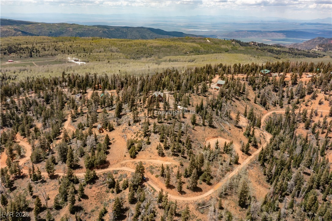 950 Yankee Lookout Property Photo 9