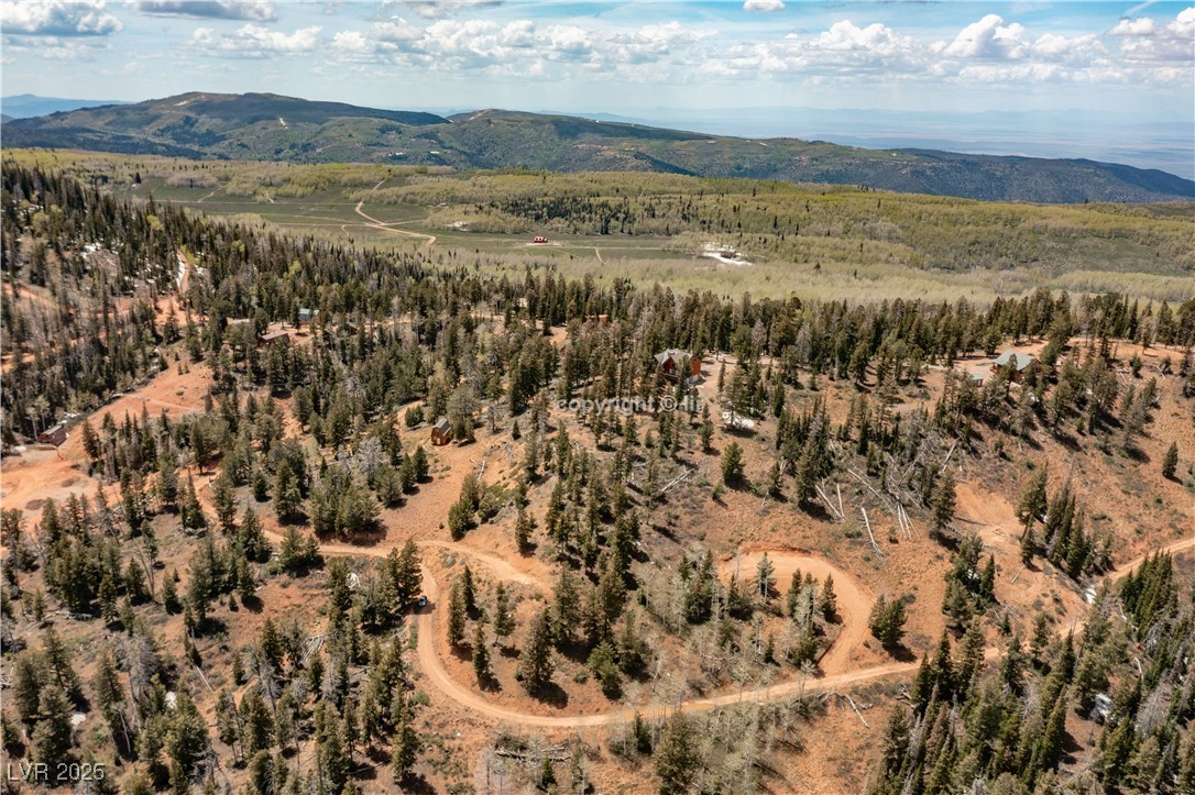 950 Yankee Lookout Property Photo 10