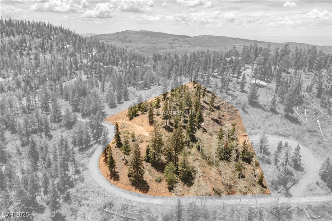 950 Yankee Lookout Property Photo 13