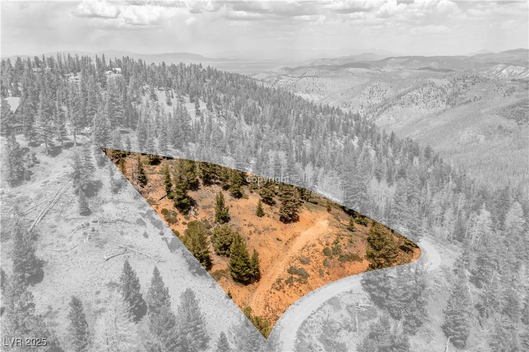 950 Yankee Lookout Property Photo 19