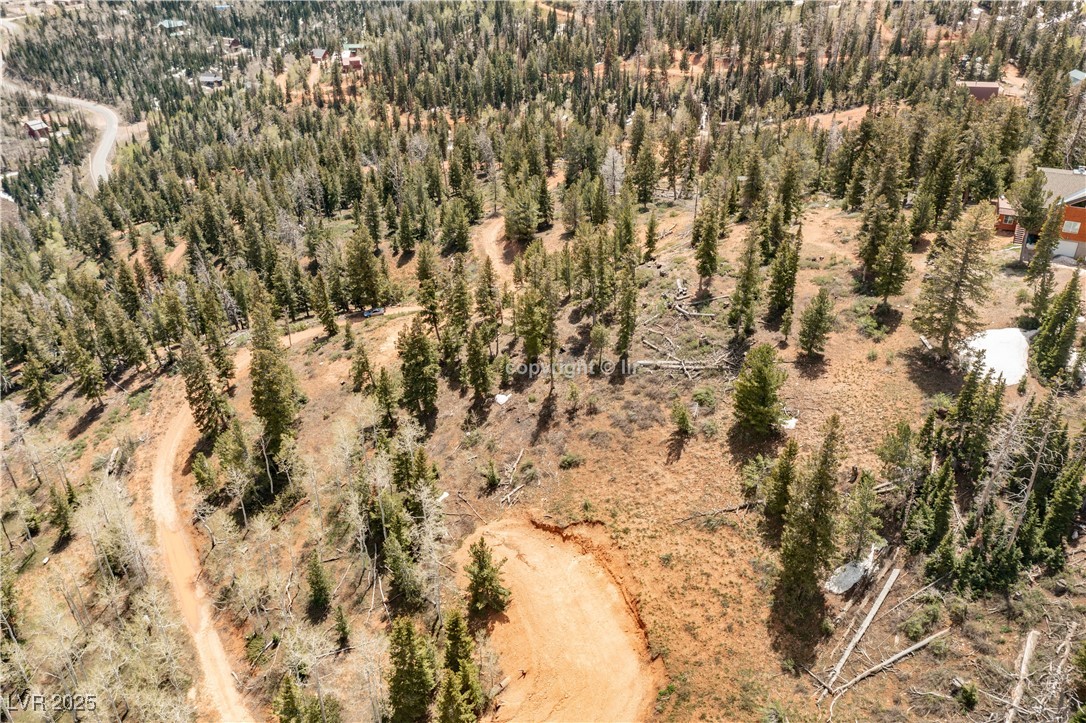 950 Yankee Lookout Property Photo 22