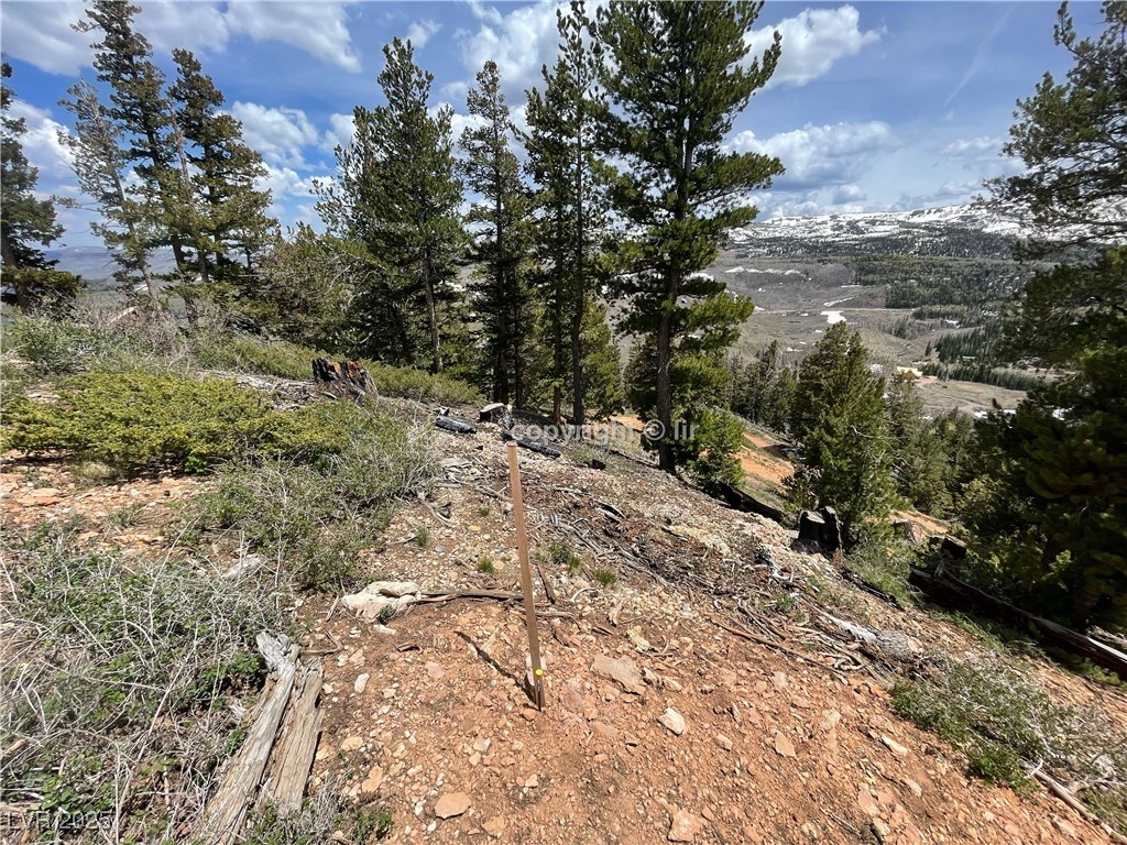 950 Yankee Lookout Property Photo 30