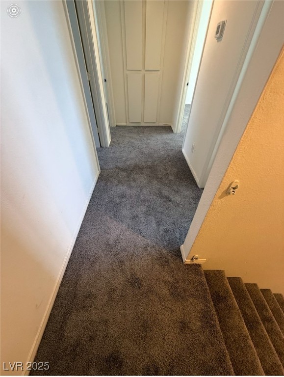 212 Huntly Road Property Photo 26