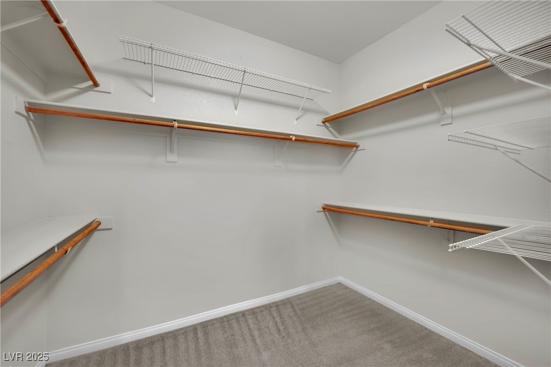 12816 Alcores Street Property Photo 19