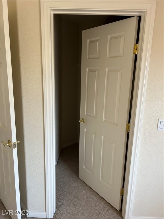 11118 Scotscraig Court Property Photo 43