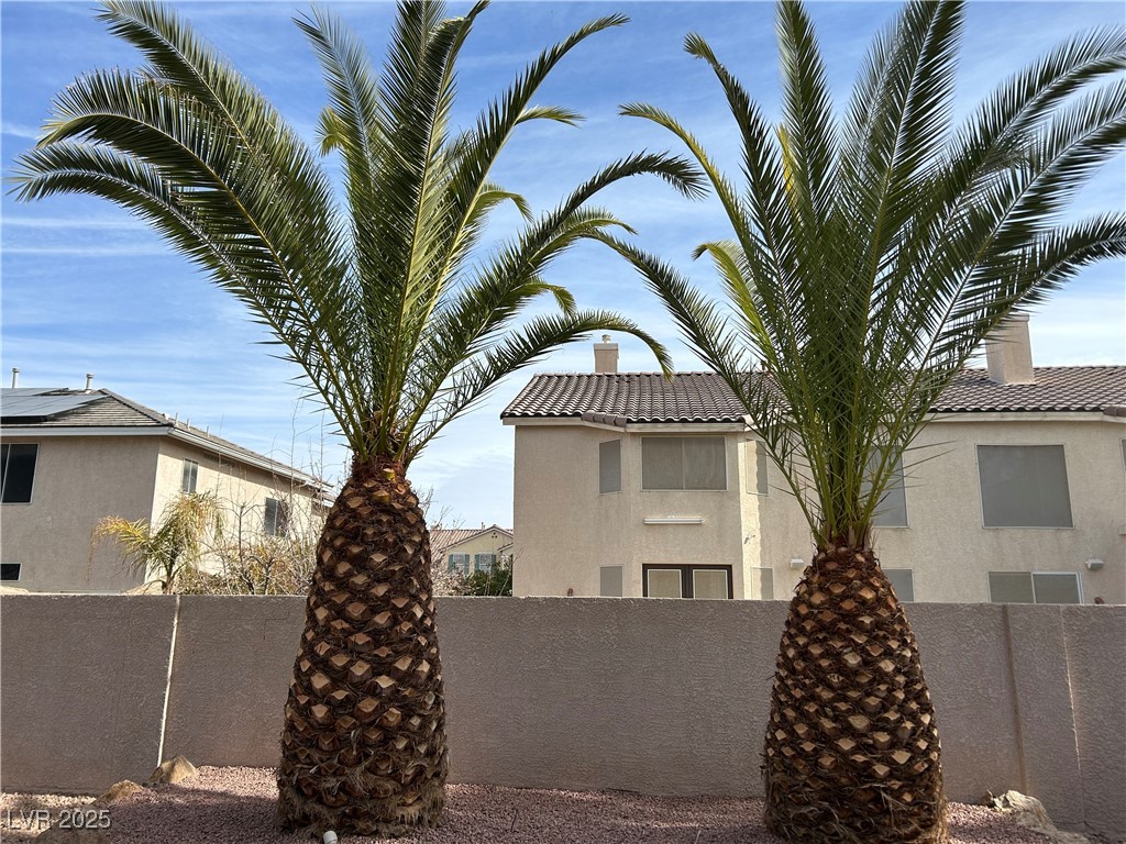 11118 Scotscraig Court Property Photo 65