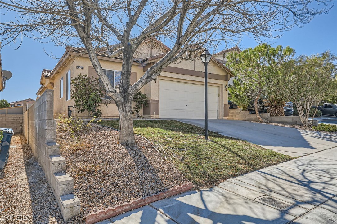 10529 Morning Drop Avenue Property Photo 1