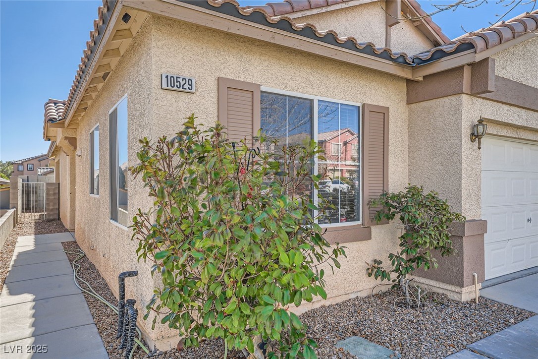 10529 Morning Drop Avenue Property Photo 5