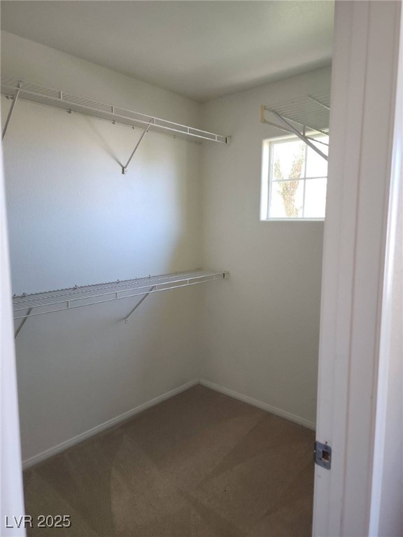 7648 Highland Pony Street Property Photo 20