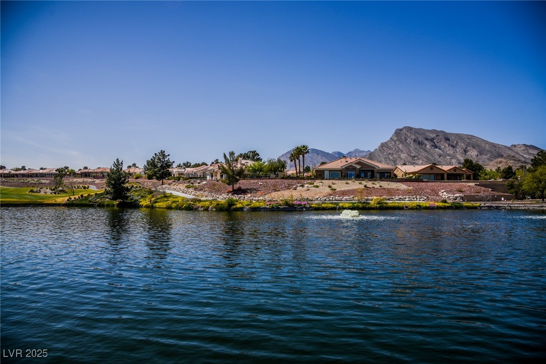 10121 Hemet Drive Property Photo 38