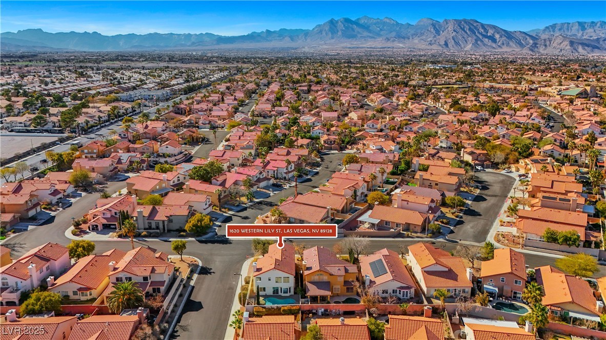 1620 Western Lily Street Property Photo 41