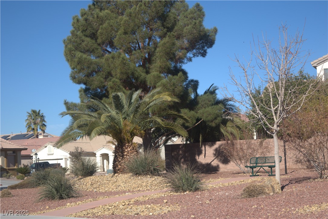 7515 Splashing Rock Drive Property Photo 4