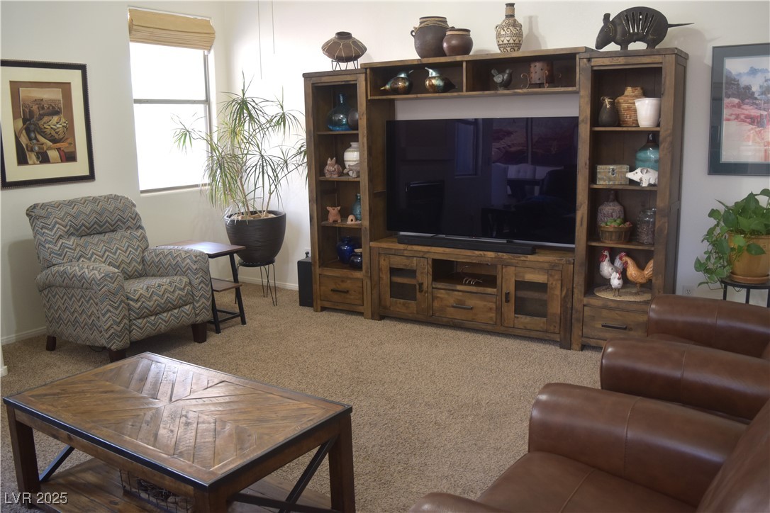 7515 Splashing Rock Drive Property Photo 6