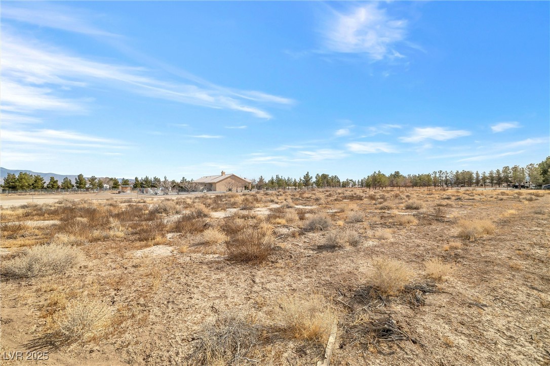 1730 Pioche Street Property Photo 6