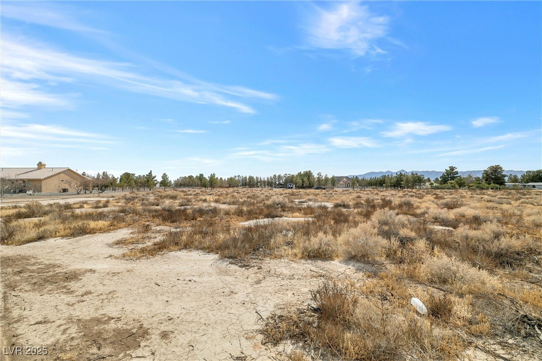 1730 Pioche Street Property Photo 7