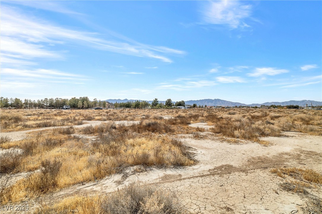1730 Pioche Street Property Photo 8