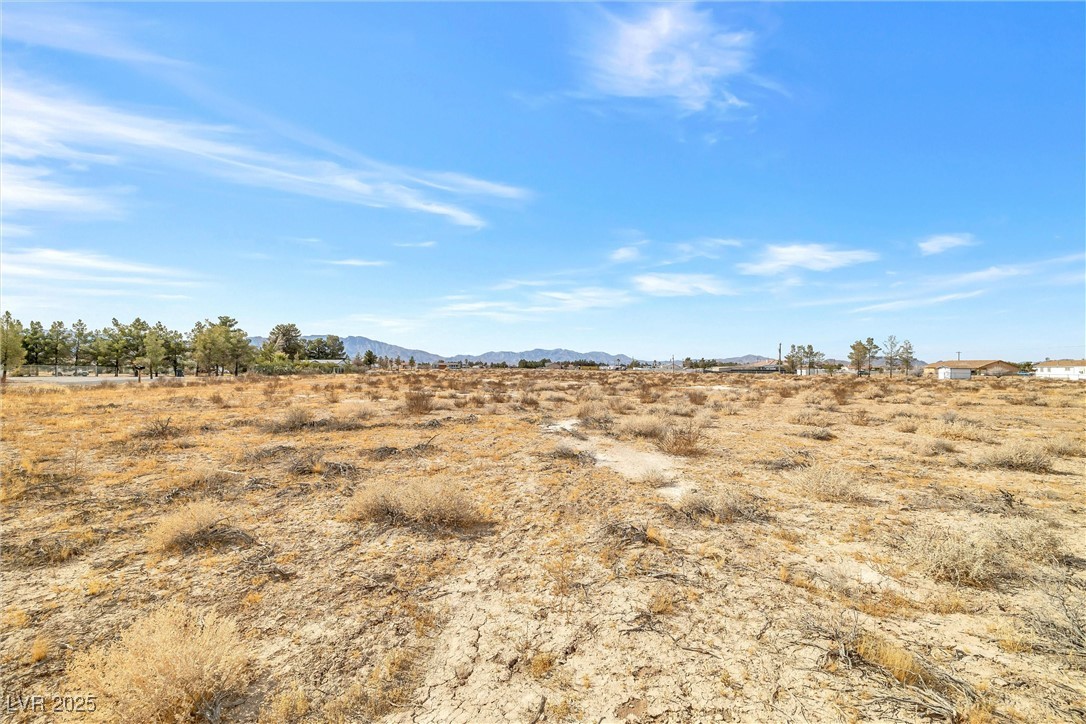 1730 Pioche Street Property Photo 9