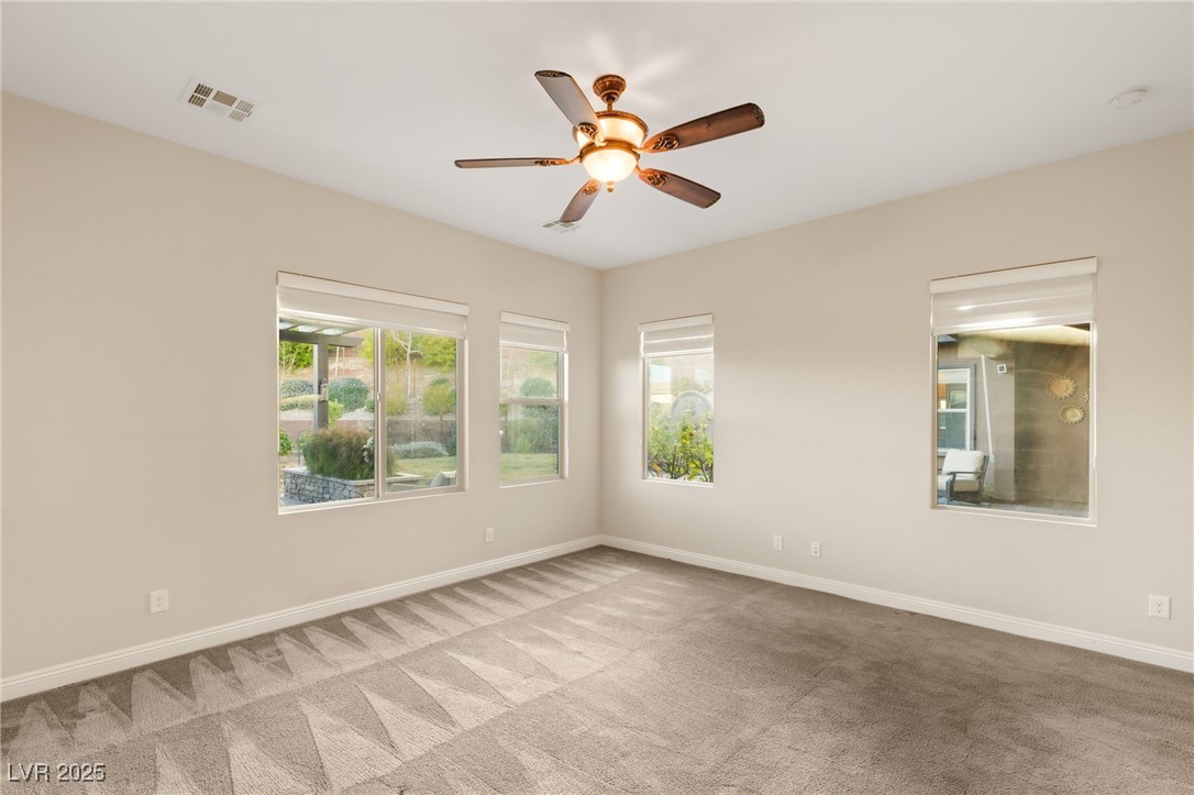 10179 Emerald Sunset Court Property Photo 23