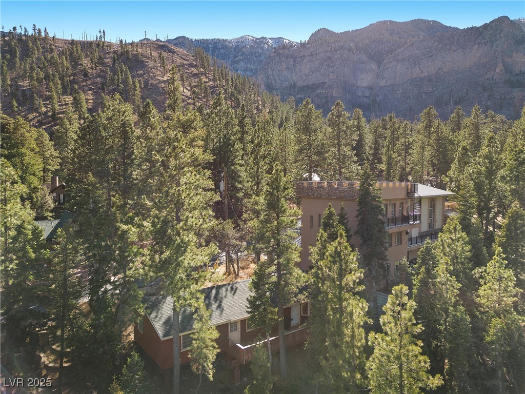 4154 Matterhorn Way Property Photo 47
